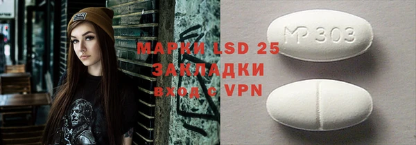 индика Балашиха