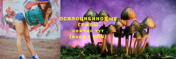 мдпв Киров