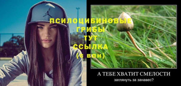 индика Балашиха