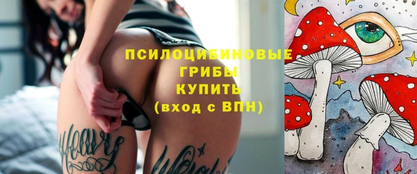 мдпв Киров