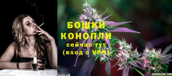 индика Балашиха