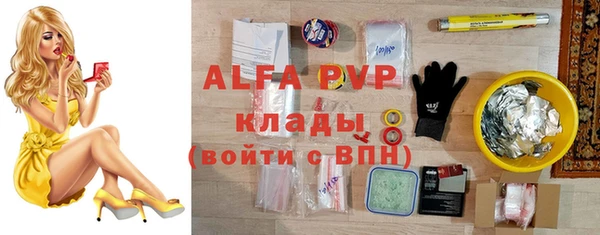 индика Балашиха