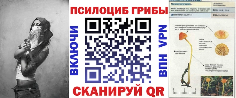 Галлюциногенные грибы GOLDEN TEACHER  omg зеркало  Апшеронск  купить  сайты 