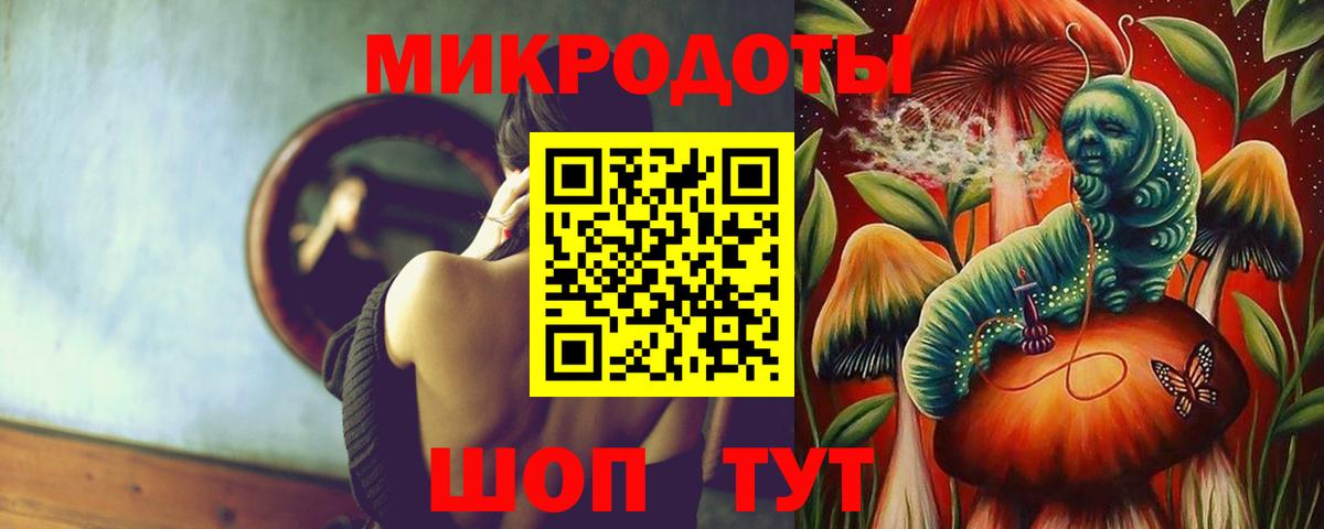 Галлюциногенные грибы Cubensis Апшеронск