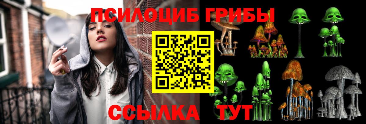 Галлюциногенные грибы Cubensis  Псилоцибиновые грибы Magic Shrooms  Апшеронск 